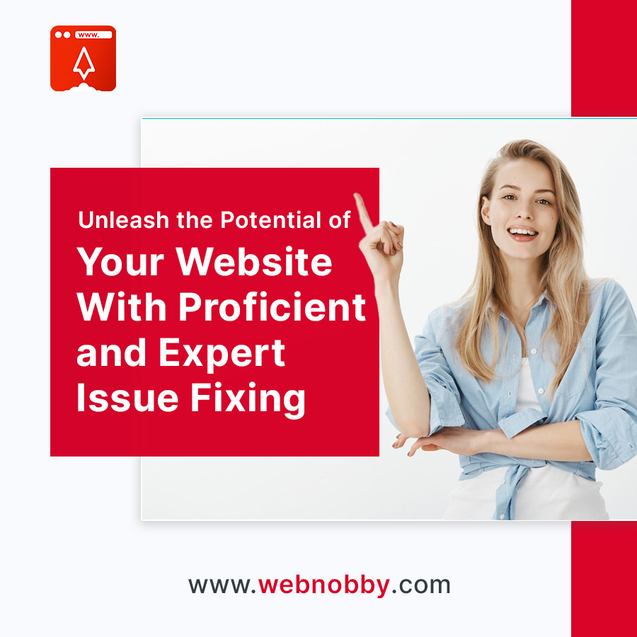 Expert Issue Website Fixing