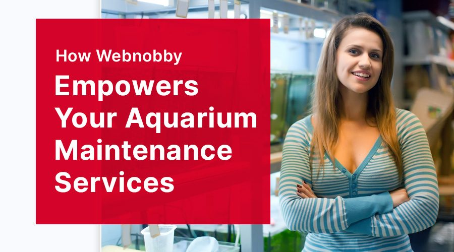 How Webnobby Empowers Your Aquarium Maintenance Services