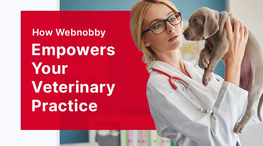 How Webnobby Empowers Your Veterinary Practice